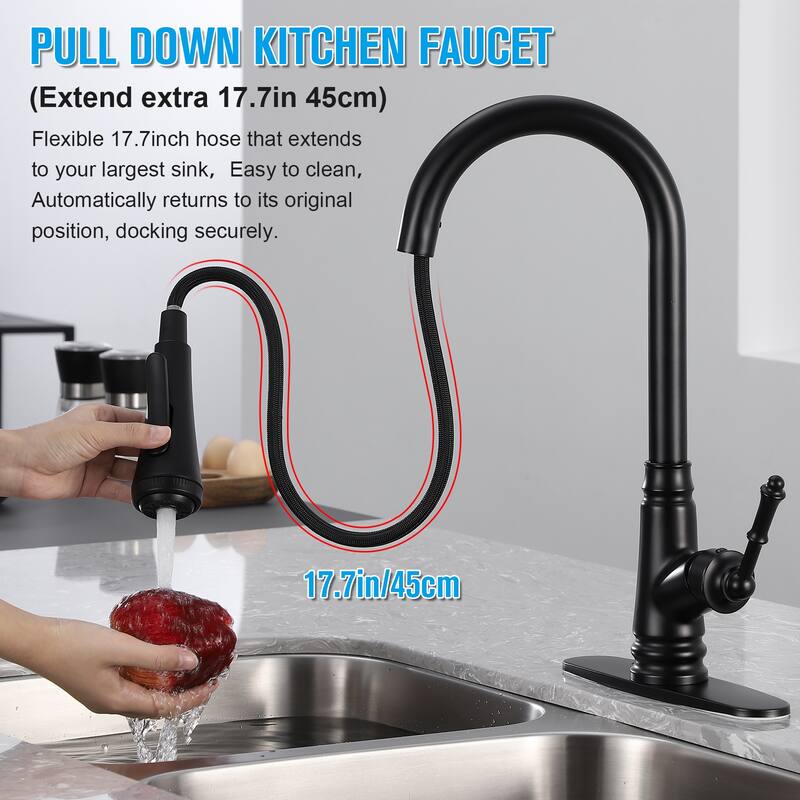 Single Handle Pull-out Kitchen Faucet with Deck Plate Matte Black - Black