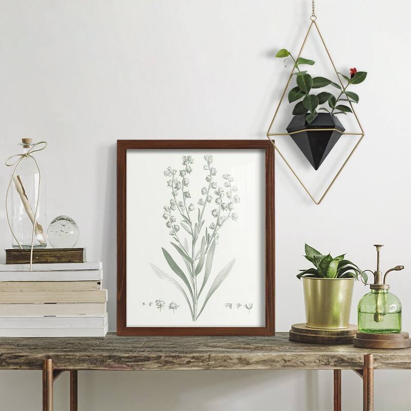 Botanical Study in Sage I -Framed Print w/glass-Cherry Red