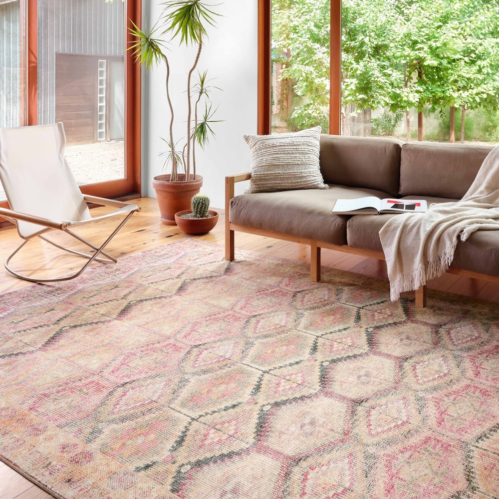 Alexander Home Isabelle Vintage Moroccan Area Rug