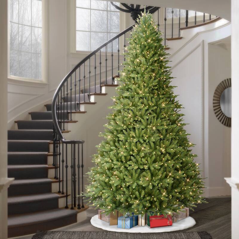 Puleo International 10' Pre Lit Fraser Fir Artificial Christmas Tree - 10 Foot