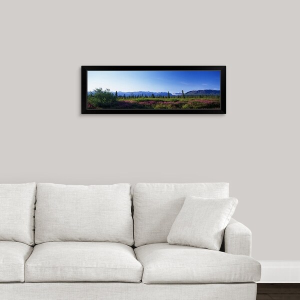 "Fireweed flowers (Epilobium latifolium) in bloom, distant Chugach Mountains, summer, Alaska" Black Framed Print