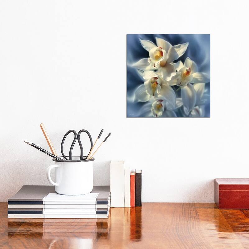 iCanvas "Orchids, Square" by Collin Bogle Canvas Print - 12x12x1.5