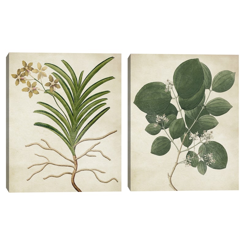 Simple Nature V & VI Texture Canvas Art Prints