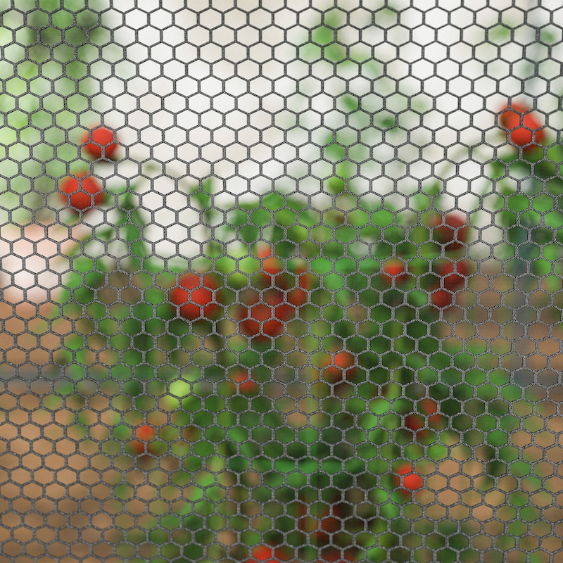 GDFStudio - Outdoor Garden Crop Protection Tent with Dual Zippered Doors, Mesh Plant Cage with Ground Stakes and Storage Bag