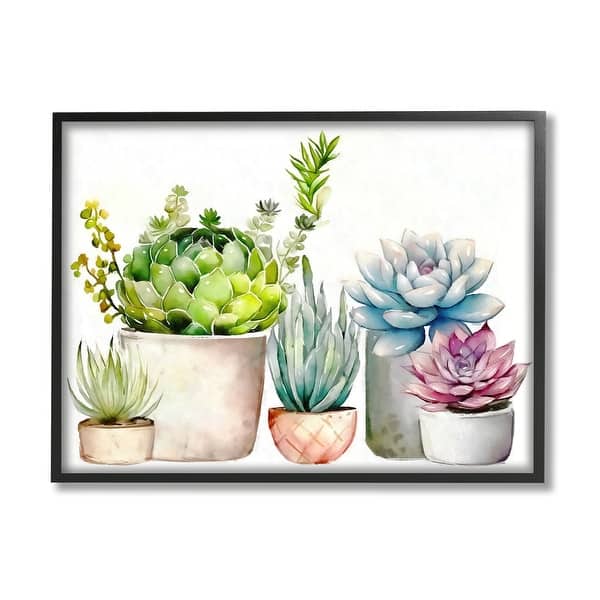 seeds garden Complete Garden Collection