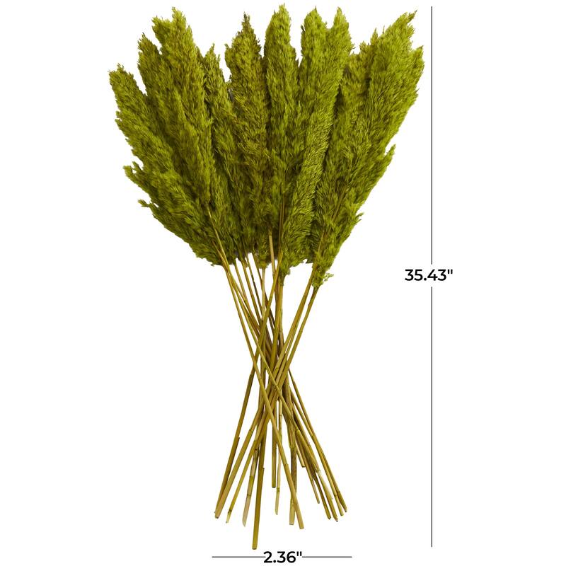Dried Plant Pampas Grass Home Decor Natural Foliage with Long Stems - Brown or Green - Roche River Decor