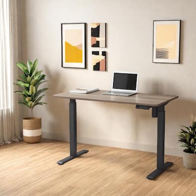 KOWO K304 55 Inch Electric Height Adjustable Desk Sit to Stand Workstation for Home Office, Ergonomic Computer Desk with Memory