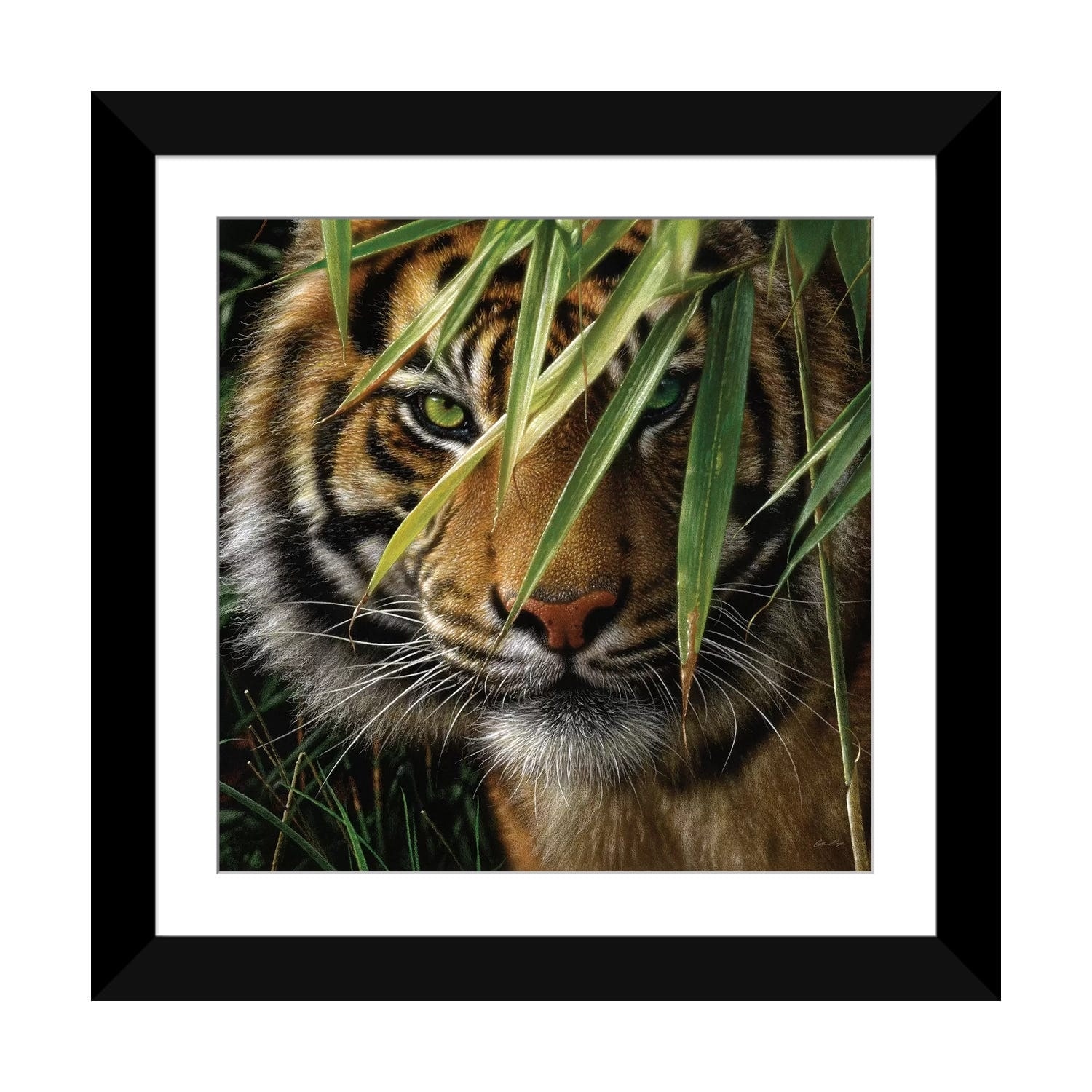 iCanvas Tiger - Emerald Forest by Collin Bogle - Bed Bath & Beyond -  37594839