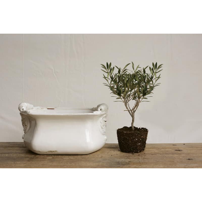 White Terracotta Cache Pot