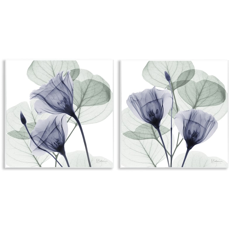 Stupell Fading Florals & Herbs Wall Plaque Art Design By Albert Koetsier (Set of 2) - 12 x 12