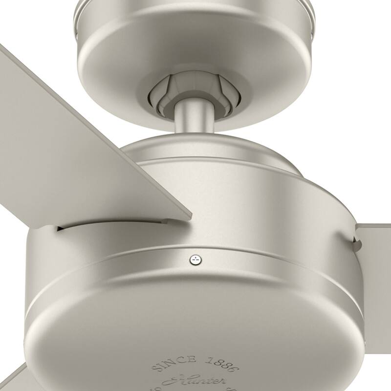 Hunter 52" and 44" Presto Ceiling Fan w/ Wall Control - Contemporary, Industrial, Scandinavian
