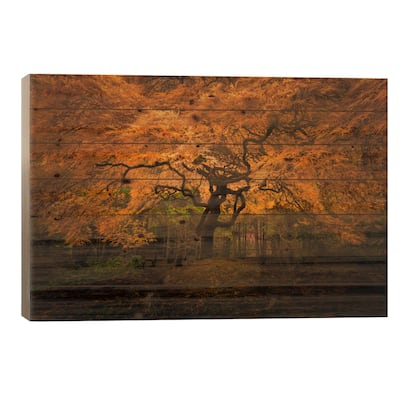 Splendor, Seattle, Washington Print On Wood by Jim Nilsen - Multi-Color