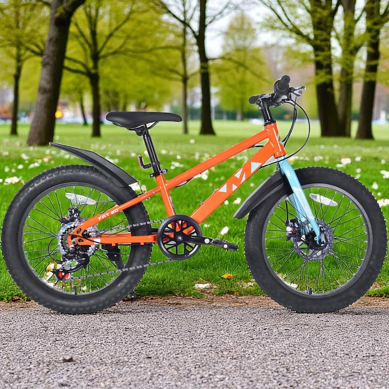20 Inch Kids Fat Tire Mountain Bike, Boys & Girls 7-Speed Shimano with Dual Disc Brakes & Suspension Fork