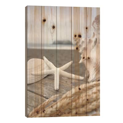 Crescent Beach Shells XII Print On Wood by Alan Blaustein - Multi-Color