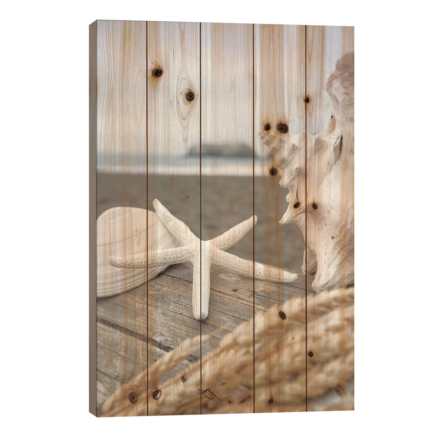 Crescent Beach Shells XII Print On Wood by Alan Blaustein - Multi-Color