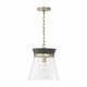 preview thumbnail 1 of 3, Finn 1-light Pendant w/ Clear Glass Black Stain & Matte Brass