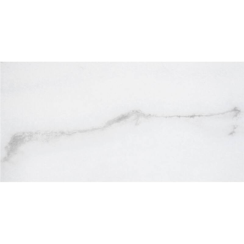 Penthouse 12x24 Polished Porcelain Tile - Floor, Wall - Large Format