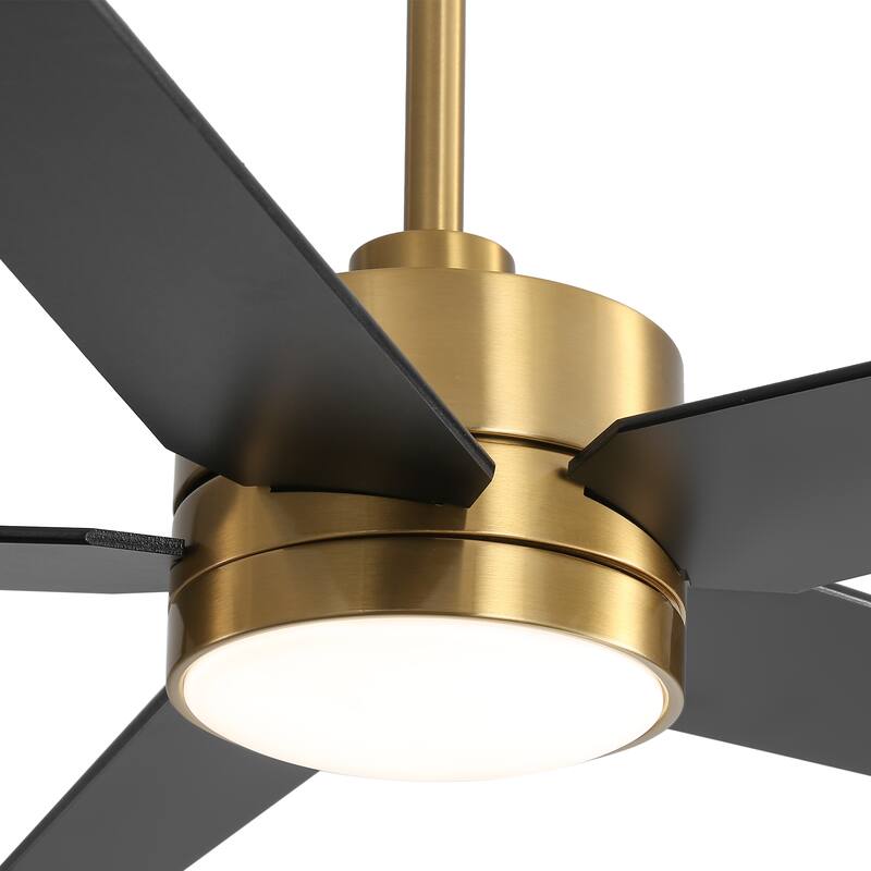 65 Inch 5-Blade LED Ceiling Fan with Light and Remote