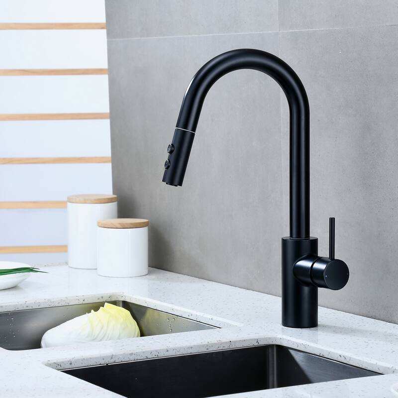 Luxier KTS21 Single Handle Pull Down Sprayer Kitchen Faucet