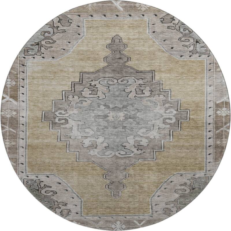 Premium Washable Super Soft Vintage Traditional Mayfield Rug