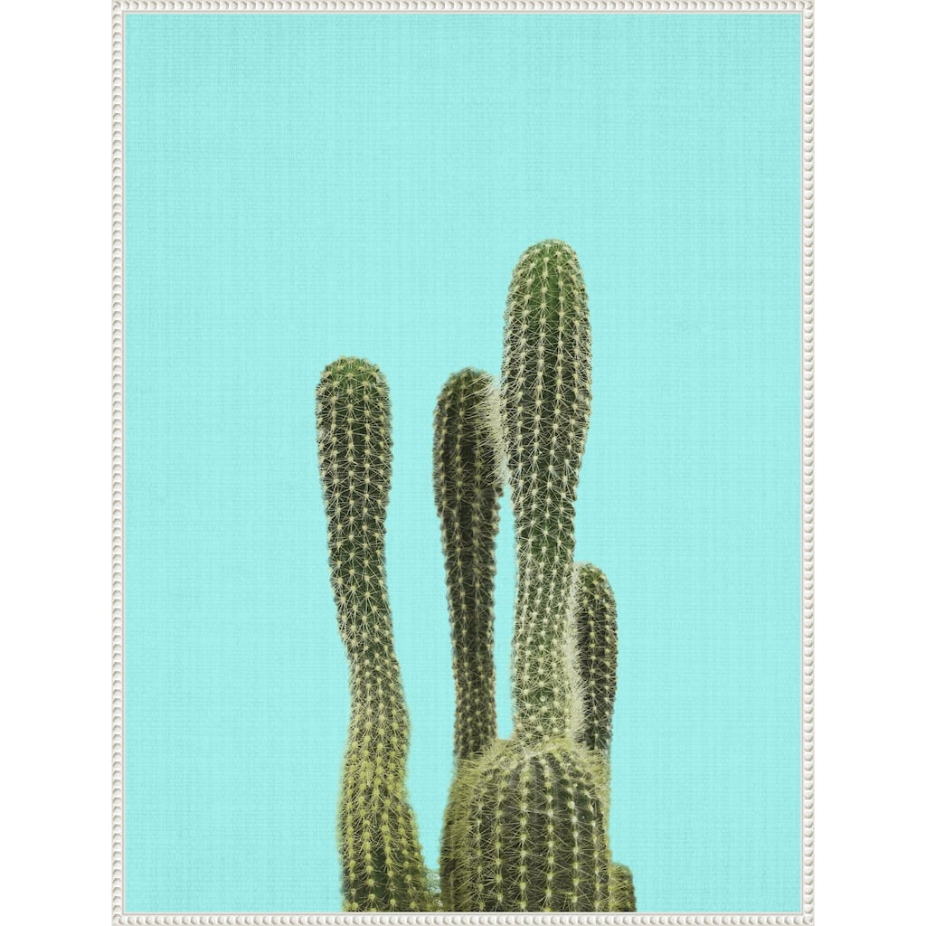 Turquoise Cactus by Lola Peacock Framed Canvas Wall Art Print - Sylvie Beaded White
