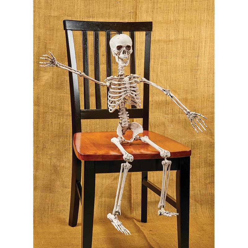 36" Posable Skeleton