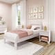 Option White Wash