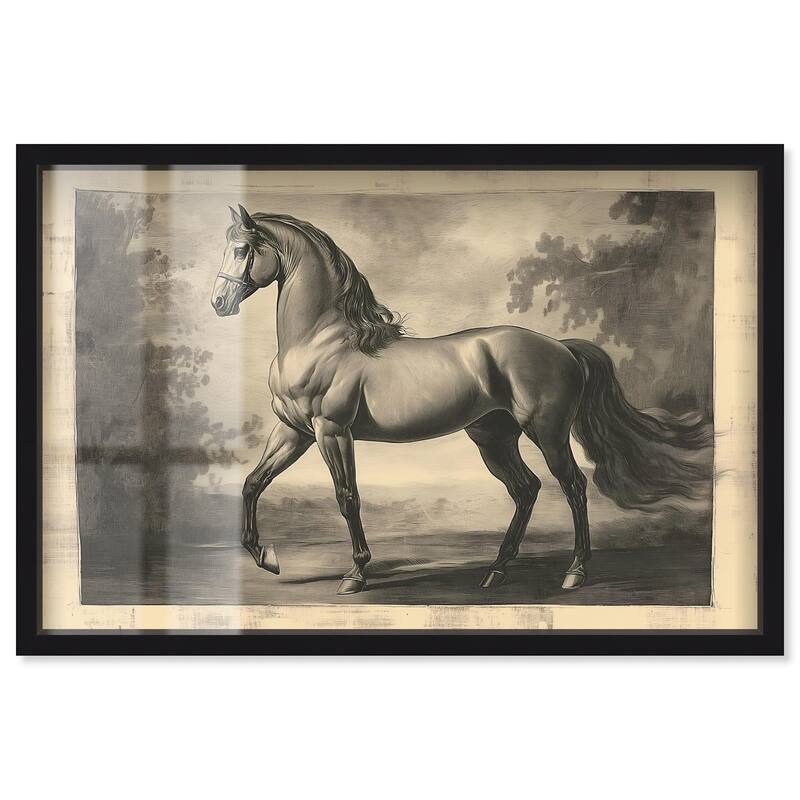 Sketch of a Stallion Shadowbox by Art Remedy - Black - 45" x 30"