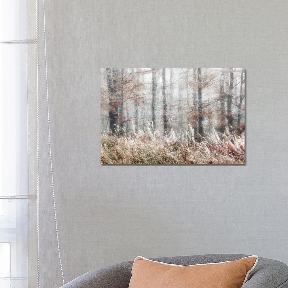 iCanvas "Always Magic In The Woods" by Irene Weisz Canvas Print