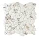 Option Calacatta