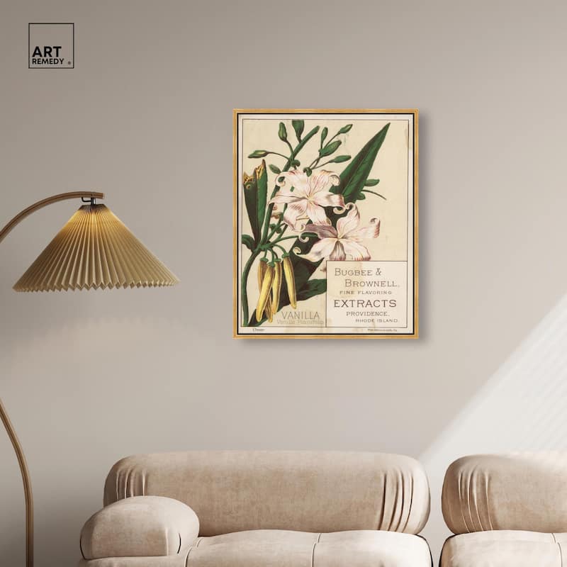 Vanilla Planifolia Canvas by Art Remedy