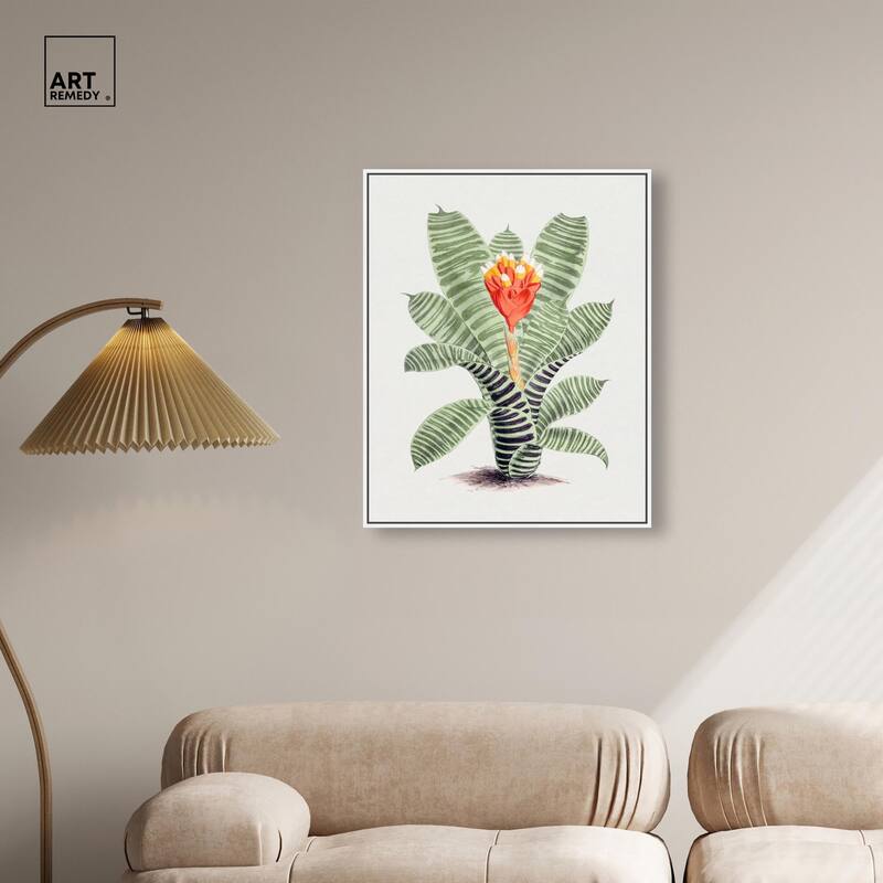 Tillandsia Musaica Plant Canvas by Art Remedy