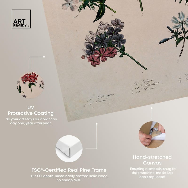 Seven Flowering Plants Canvas by Art Remedy, Gallery Wrapped