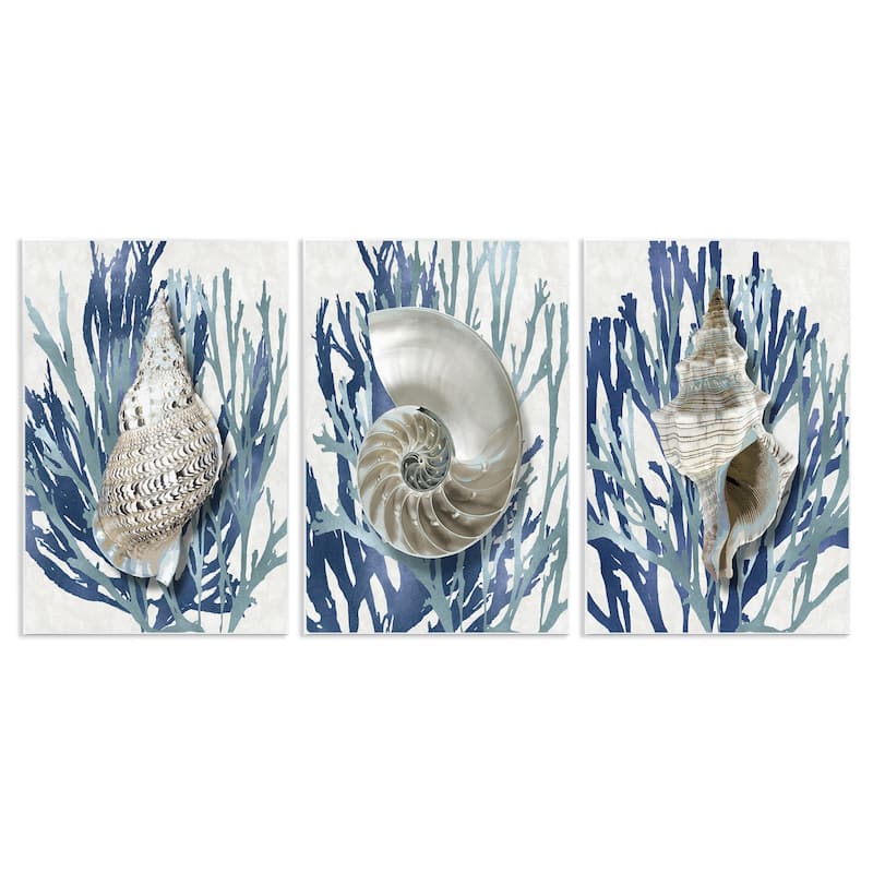 Stupell Shell Coral Blue Beach, 3pc Multi Piece Wood Wall Art Set - 10 x 15