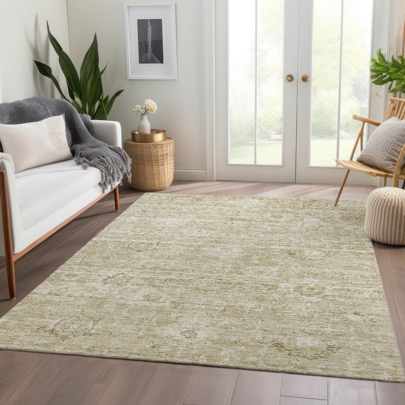 Machine Washable Indoor/ Outdoor Vintage Traditional Chantille Rug