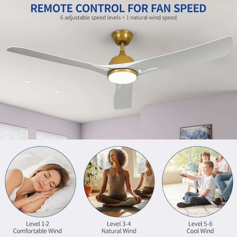 Moasis 56"ack Gold Ceiling Fan 3-Blade Modern Smart Reversible Ceiling Fan
