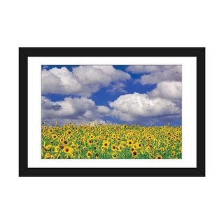 iCanvas "Sunny Sunflowers" by Dennis Frates PFA - Bed Bath & Beyond ...