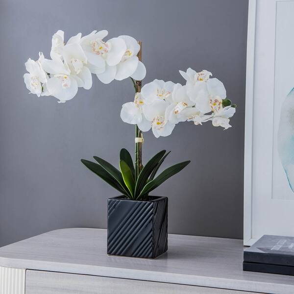 slide 1 of 21, Synthetic Two Stem Orchid White