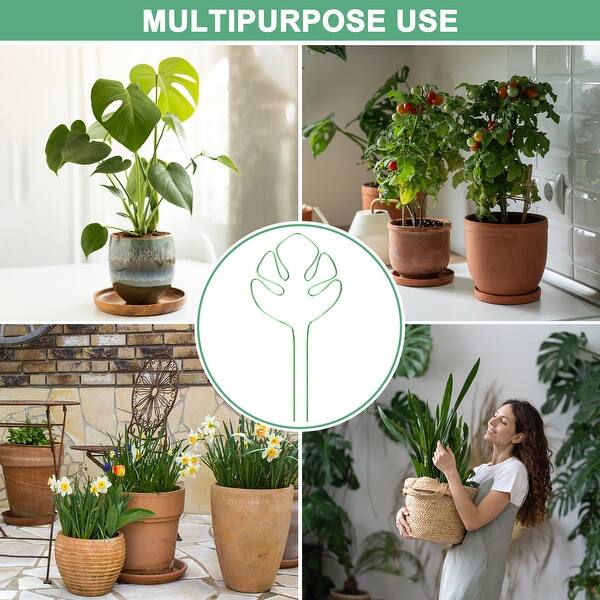 1-Set Reusable Monstera Plant Support for Plants - Bed Bath & Beyond -  42570300