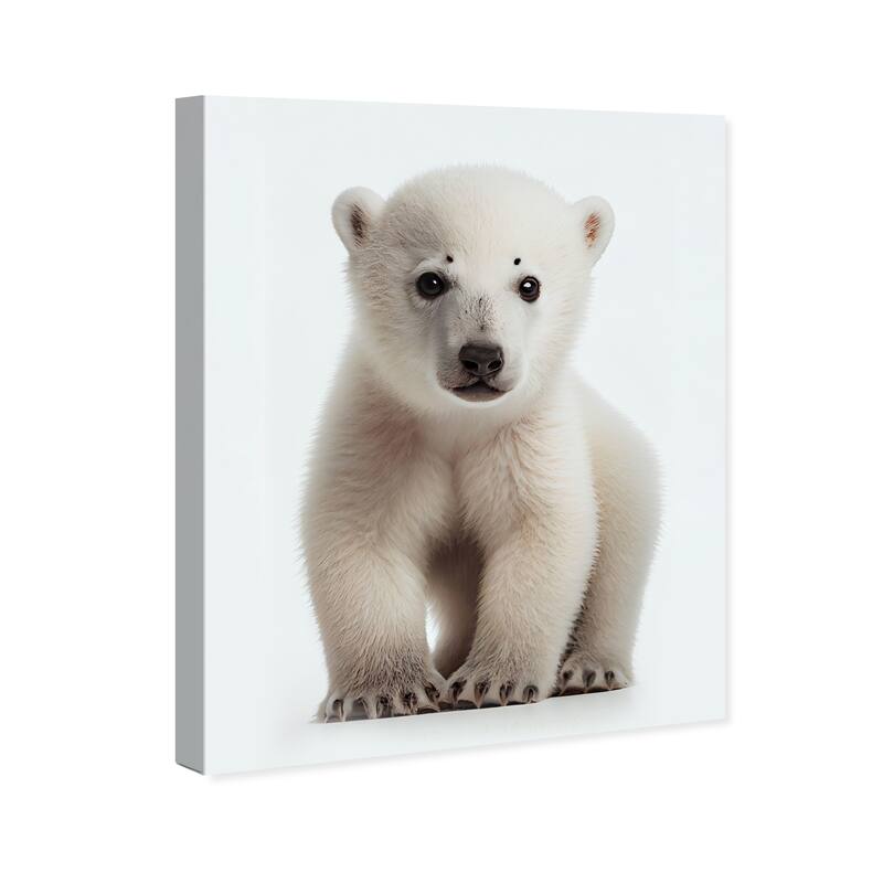 Wynwood Studio Canvas Animals Baby Animal Polar Bear White and Modern & Contemporary Wall Art Canvas Print - White,