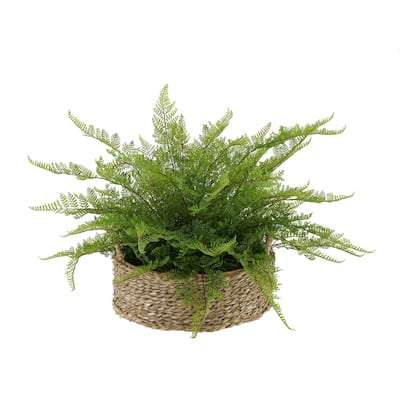 Faux Lace Fern in Seagrass Tray Basket