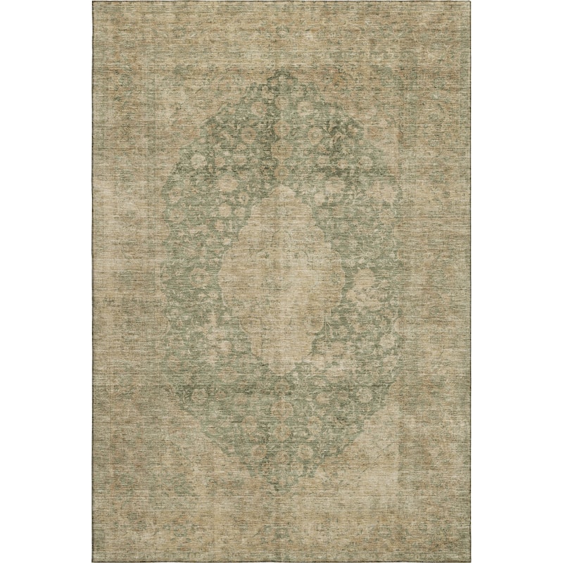 Premium Washable Super Soft Vintage Traditional Mayfield Rug