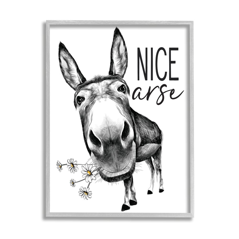 Stupell Nice Funny Donkey Pun White Daisey Flowers Framed Wall Art