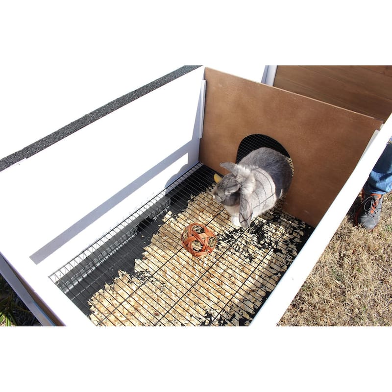 Zylina XL Extreme Rabbit Hutch