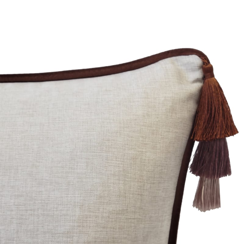 Edie At Home Velvet Reversible Tassel Decorative Pillow 18.5x18.5