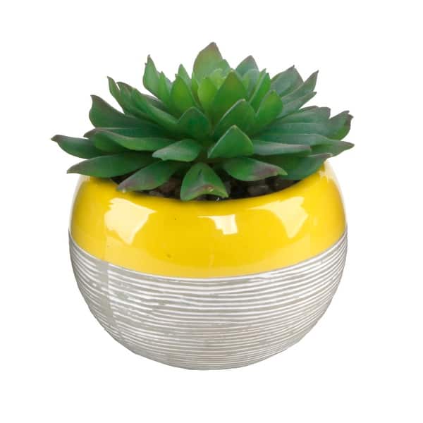 slide 2 of 9, Succulent in Two tone lines pattern ceramic pot ,Teal - ONE-SIZE Yellow