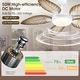 preview thumbnail 4 of 29, 52" Waterproof Indoor and Outdoor Ceiling Fans with Lights, APP and Remote Control, Dimmable Farmhouse Ceiling Fan - 52 Inches