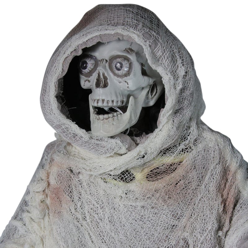 Lighted and Animated Master of Death Halloween Decoration - 65"
