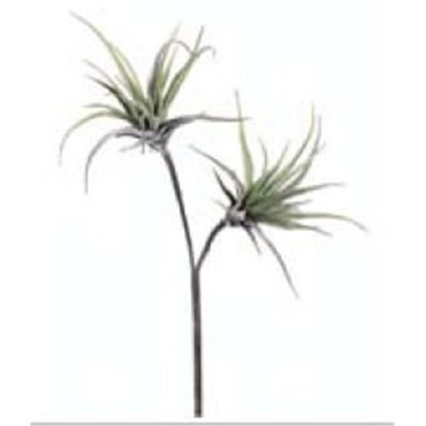 AA6753 21.5 in. Medium Tillandsia Spray X2- Case of 12