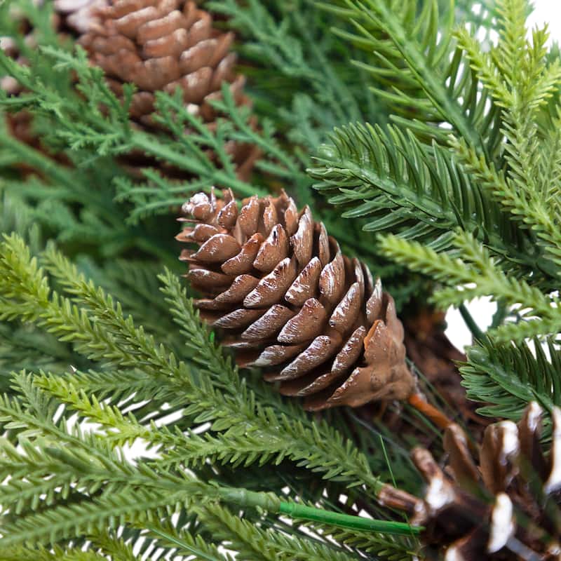 Mixed Birch and Cedar Iced Pinecone Artificial Christmas Wreath - 28" - Unlit